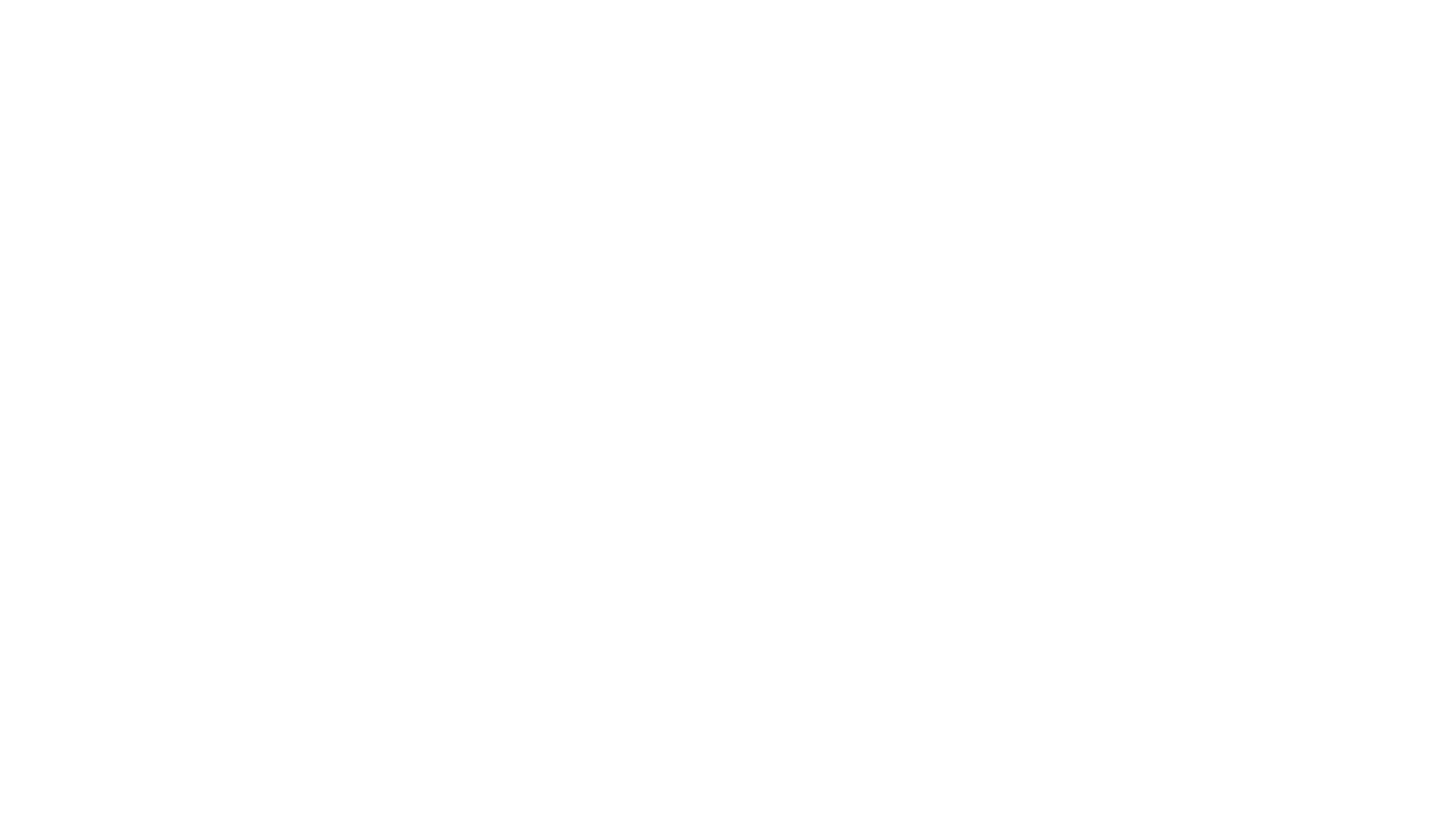 Bali Luxury Transport Logo