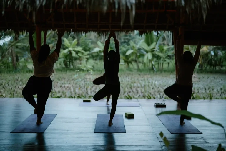 Luxury Private Driver Bali For Eco-Retreat Ubud And Coffee Plantation Visit