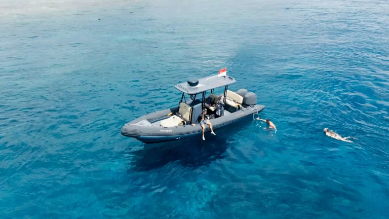 Private Chauffeur Bali For Corporate Executive Meetings